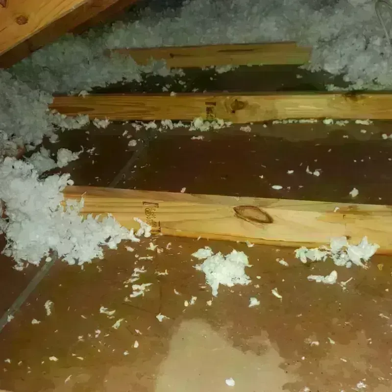 Attic Water Damage in Summit, NJ